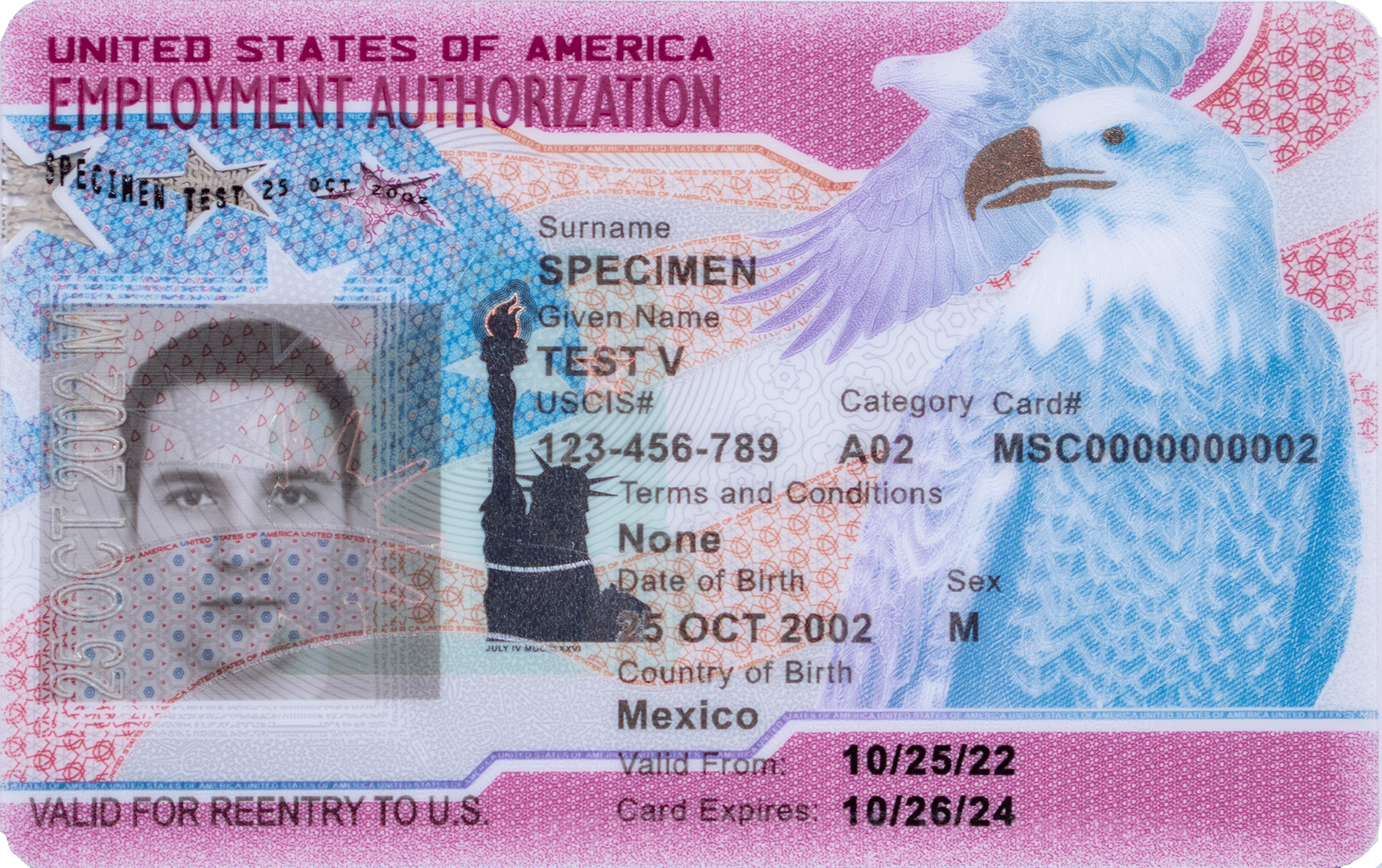 Demystifying the Timeline: How Long Does It Really Take to Get an EAD Card? 3